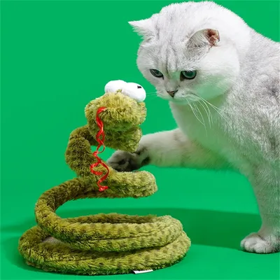 IntiMeg Jouet en forme de serpent à ressort pour chat