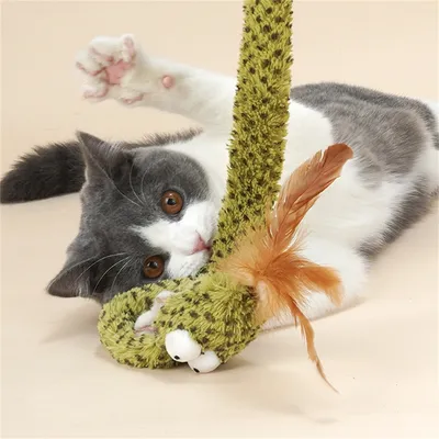 IntiMeg Jouet interactif en forme de serpent pour chat