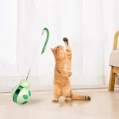 UAMLY Jouet culbuto pour chat