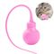 Pet Planet Baton de jeu magique pour chat Rose