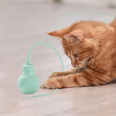 Pet Planet Baton de jeu magique pour chat