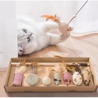 UAMLY bâton de chat drôle coffret cadeau jouets