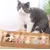 UAMLY bâton de chat drôle coffret cadeau jouets
