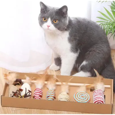 UAMLY bâton de chat drôle coffret cadeau jouets