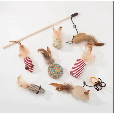 UAMLY bâton de chat drôle coffret cadeau jouets