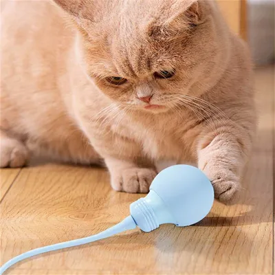 Pet Planet Baton de jeu magique pour chat