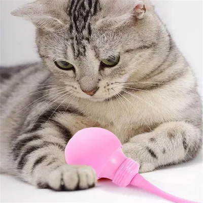 Pet Planet Baton de jeu magique pour chat