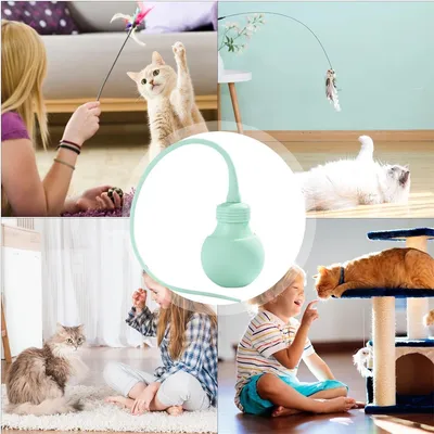 Pet Planet Baton de jeu magique pour chat