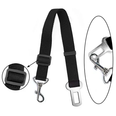Petopia Laisse ceinture de sécurité pour chien et chat