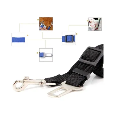 Petopia Laisse ceinture de sécurité pour chien et chat