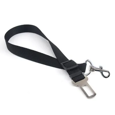 Petopia Laisse ceinture de sécurité pour chien et chat