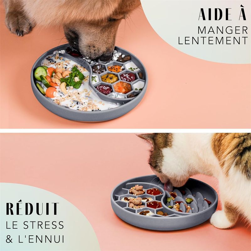 IntiMeg Gamelle anti - glouton pour chiens et chats