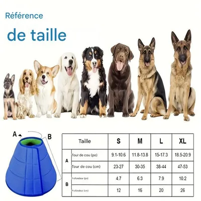 Petopia Collier anti-morsures et anti-griffures