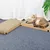 UAMLY Griffoir pliable pour chat