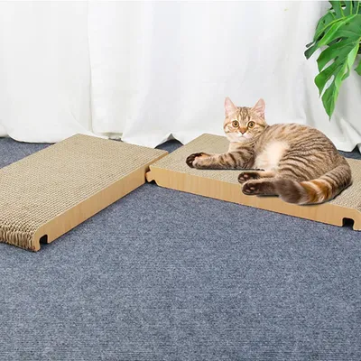 UAMLY Griffoir pliable pour chat