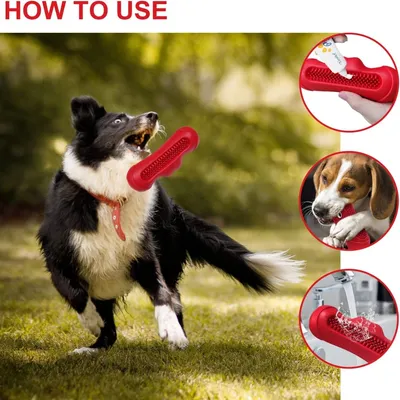 Petopia Jouet indestructible pour chien