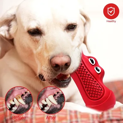 Petopia Jouet indestructible pour chien