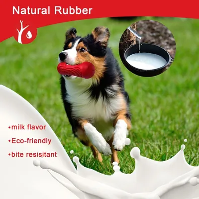 Petopia Jouet indestructible pour chien