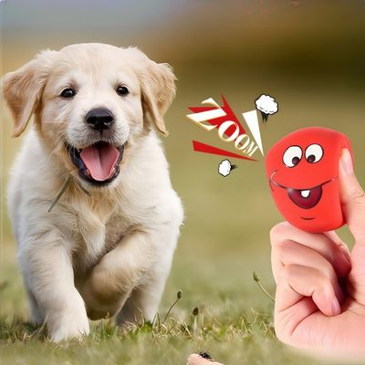 Petopia Jouet couineur pour chien