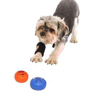 Petopia Jouet couineur pour chien