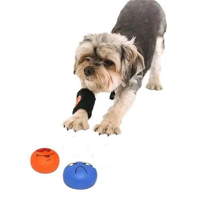 Petopia Jouet couineur pour chien