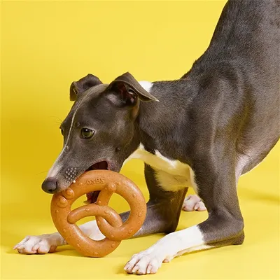 IntiMeg Jouet en bois Bretzel pour chien