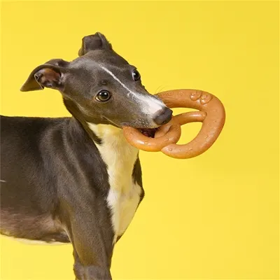 IntiMeg Jouet en bois Bretzel pour chien