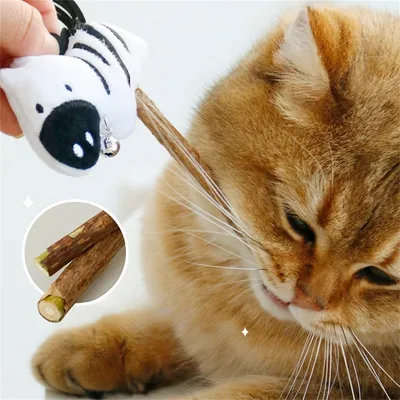 Pet Planet Bâton de grattage au tatarin pour chats