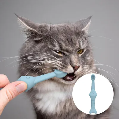 UAMLY Brosse à dents nettoyante pour chat et chien