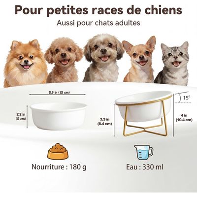 UAMLY Gamelle Chat Surélevée et Inclinée