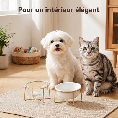 UAMLY Gamelle Chat Surélevée et Inclinée