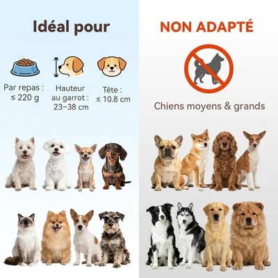 UAMLY Gamelle Chat Surélevée et Inclinée UAMLY Gamelle Chat Surélevée et Inclinée