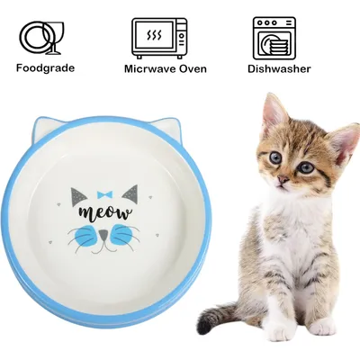 UAMLY Cuenco de cerámica poco profundo para gatos