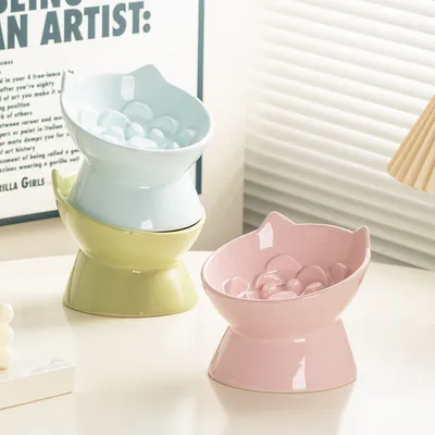 UAMLY Céramique gamelle pour chat à alimentation lente, surélevée