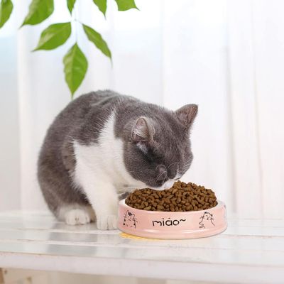 UAMLY Gamelle peu profonde pour chat, céramique