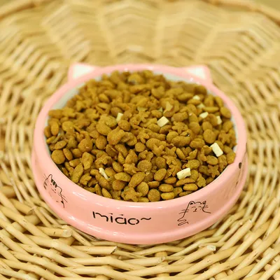 UAMLY Gamelle peu profonde pour chat, céramique