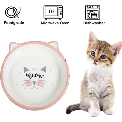 UAMLY Gamelle peu profonde pour chat, céramique