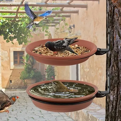 Petopia Baignoire et mangeoire pour oiseaux