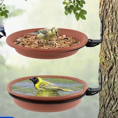 Petopia Baignoire et mangeoire pour oiseaux