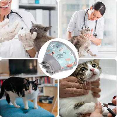 UAMLY Collier de convalescence souple pour chat