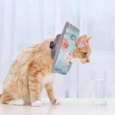 UAMLY Collier de convalescence souple pour chat