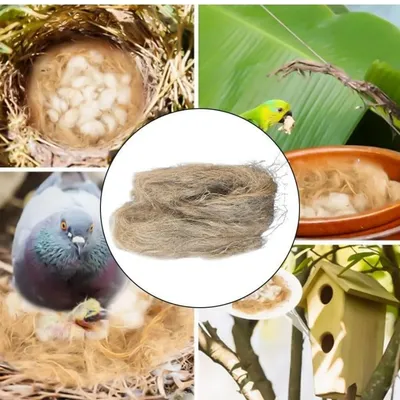 Petopia Nid d'oiseau en soie de jute