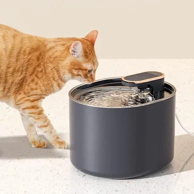 UAMLY Fontaine à eau automatique pour chat