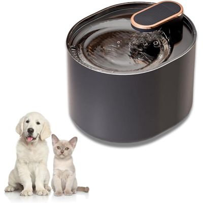 UAMLY Fontaine à eau automatique pour chat