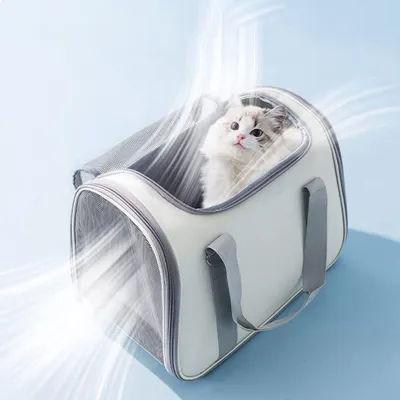UAMLY Sac à dos pour chat