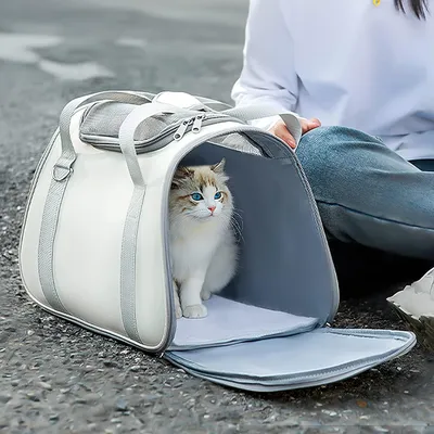 UAMLY Sac à dos pour chat