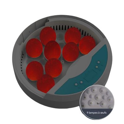 Petopia Incubateur d'œufs mini