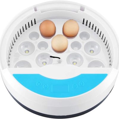 Petopia Incubateur d'œufs mini