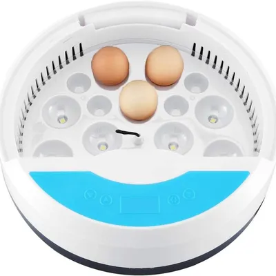Petopia Incubateur d'œufs mini Petopia Incubateur d'œufs mini