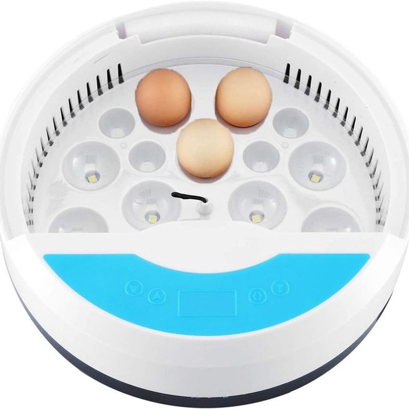 Petopia Incubateur d'œufs mini
